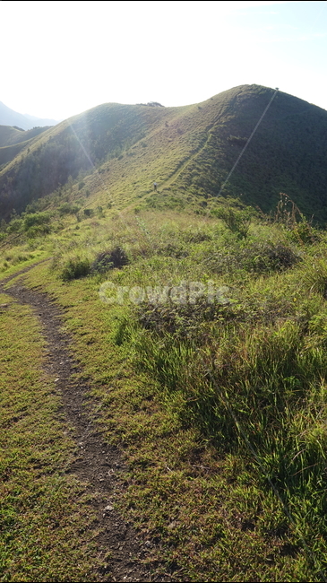 nature,green,field,자연,grass,초록,길,오솔길,구릉,산맥,언덕,hill,뉴칼레도니아