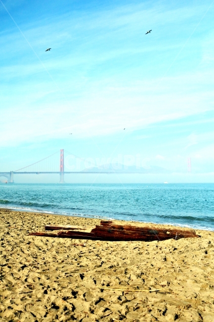 금문교,바다,해변,통나무,자연,해변,바다,beach,sea,랜드마크,landmark,tourist attraction,해외,외국,세계,foreign,oversea,world,세계랜드마크,해외랜드마크,외국랜드마크,world landmark,world tourist attraction