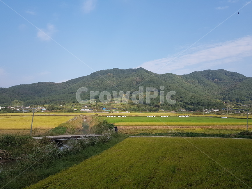 nature,자연,countryside,한지방,grassland,outdoors,field,들,시골,마을,풍경,landscape,country,rural,town