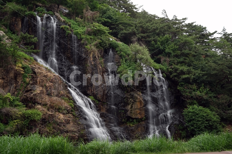 폭포,자연,물,시원함,인공,바위,풀,waterfall,nature,water,cool,여행,산,풍경,landscape,river,outdoors,풍경사진,낙수,암반,낙하,폭포마당,서대문폭포마당,물줄기,장노출,암벽,자연,풍경,nature,landscape,river,강,outdoors,옥외