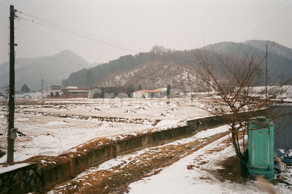 필카,필름카메라,빈티지,감성,무드,레트로,바람,햇빛,논,밭,논밭,시골,한국시골,겨울,계절,winter,season,시골,마을,풍경,landscape,country,rural,town