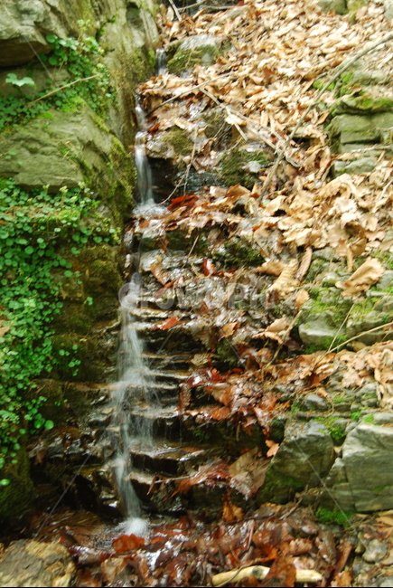 고령산,자연,휴양숲,봄,공원,자연,풍경,nature,landscape,water,물,outdoors,옥외,river,강,waterfall,폭포