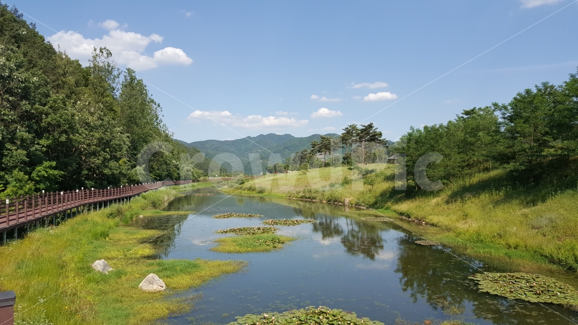 하늘,나무,강,다리,구름,자연,풍경,nature,landscape,water,물,outdoors,옥외,land,땅