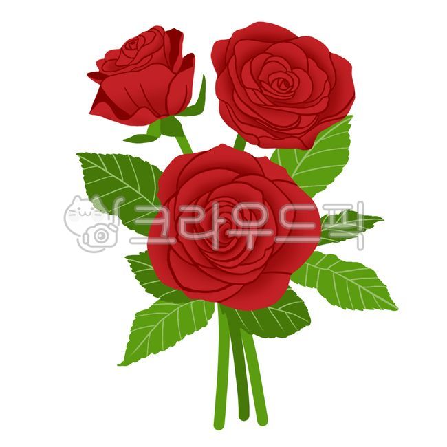 장미일러스트,장미그림,장미꽃,장미꽃그림,장미,장미꽃일러스트,그래픽,일러스트레이션,graphic,illustration