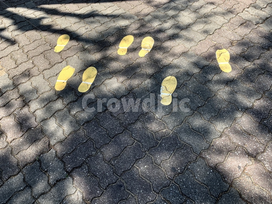 횡단보도,학교,길,안전,어린이,노란발자국