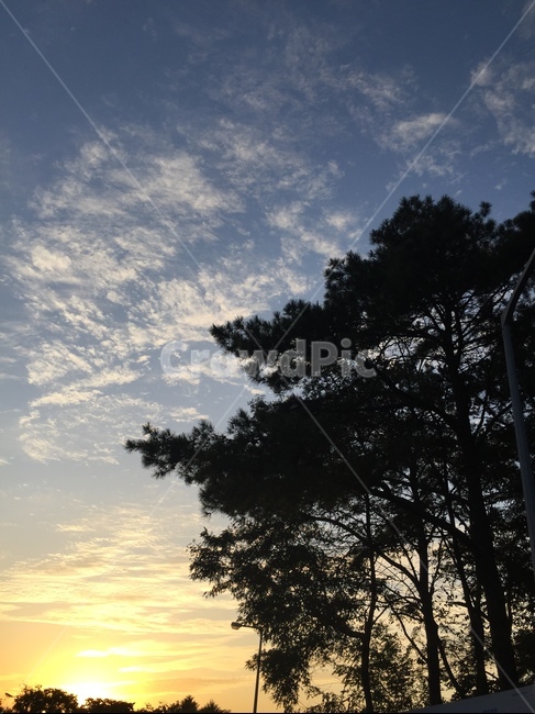 nature,자연,outdoors,노을,나무,구름,sky,자연,풍경,nature,landscape