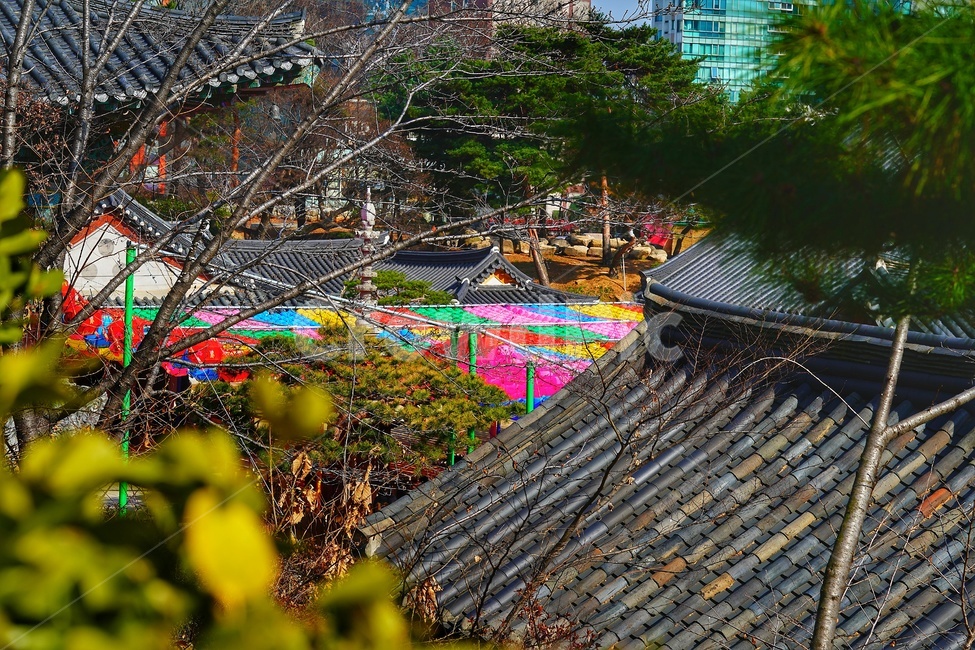 봉은사,절,bongeunsatemple,temple,nature,자연,landscape,경치,outdoors,옥외,scenery,풍경,roof,지붕