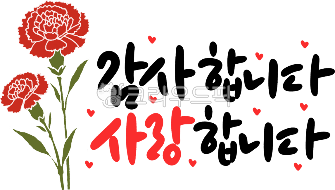 어버이날,카네이션,감사합니다,사랑합니다,감사,사랑,하트,어버이날캘리,캘리그라피,예쁜글씨,예쁜글자,스승의날,감사글자,캘리