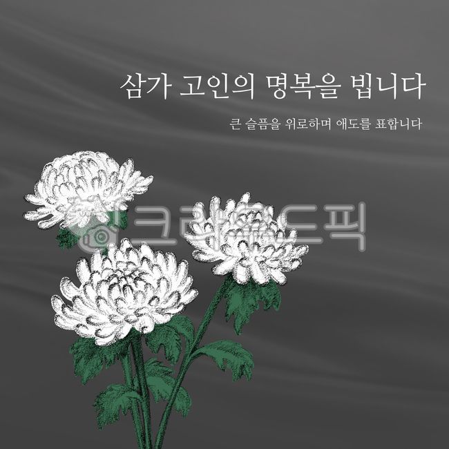 remembrance,condolences,chrysanthemum flower,deceased,consolation,condolence,death,repose,black,sadness,accident,chrysanthemum illustration,white chrysanthemum,petal,chrysanthemum,funeral,plant,farewell
