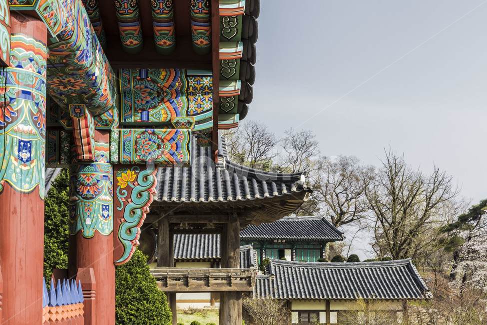 단청,무늬,기와,선,패턴,사찰,한국전통,한국문화,korean traditional,korean culture,건축물,건물외관,exterior,building,structure,architecture,construction
