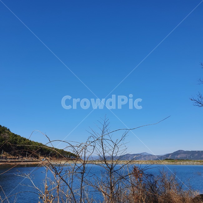 nature,자연,outdoors,옥외,water,물,호수,lake,나무줄기,tree