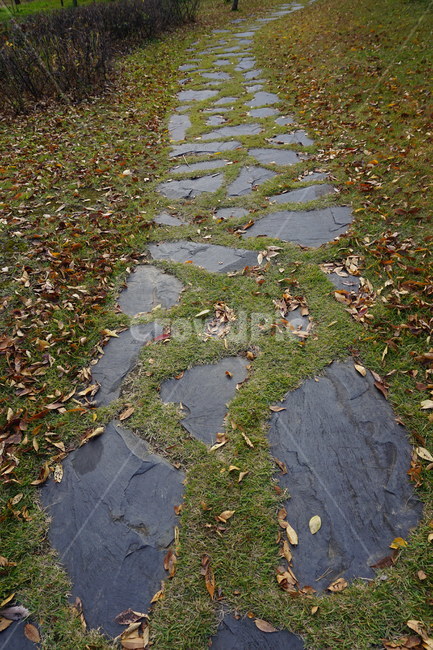 자연,돌,길,나뭇잎,풍경,가을,계절,fall,autumn,season,flagstone,판석