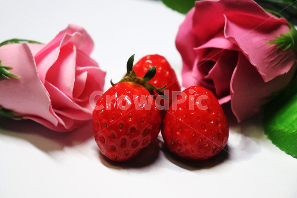 딸기,장미,빨간장미,분홍장미,strawberry,rose,red,pink,감성적인