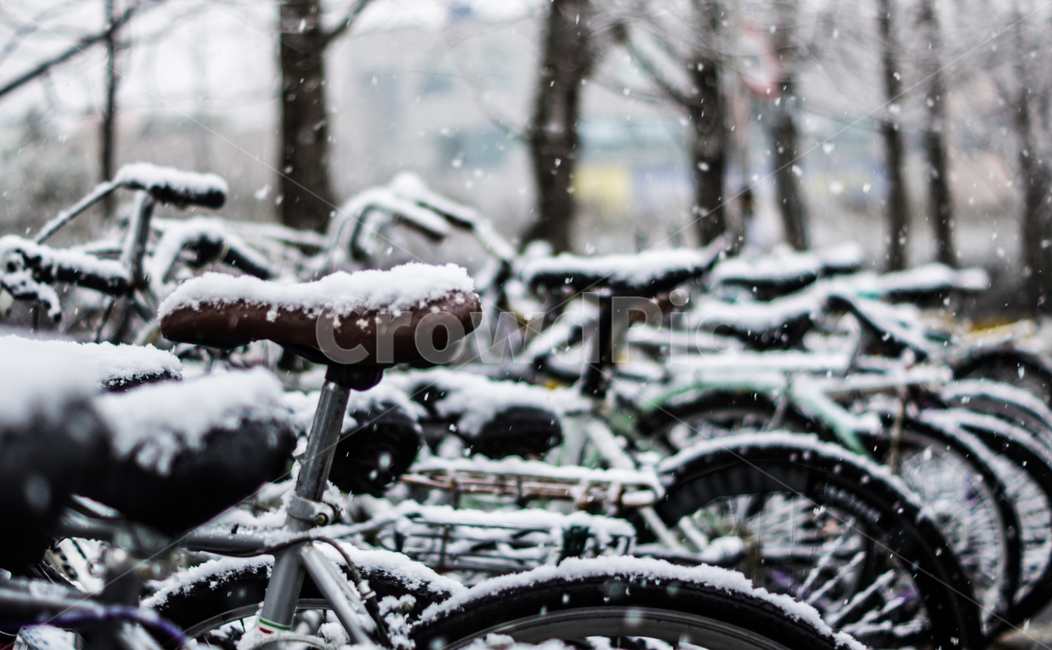 자전거,눈,겨울,주차장,bike,bicycle,vehicle,transportation,교통,snow,winter,눈보라,blizzard,겨울,계절,winter,season