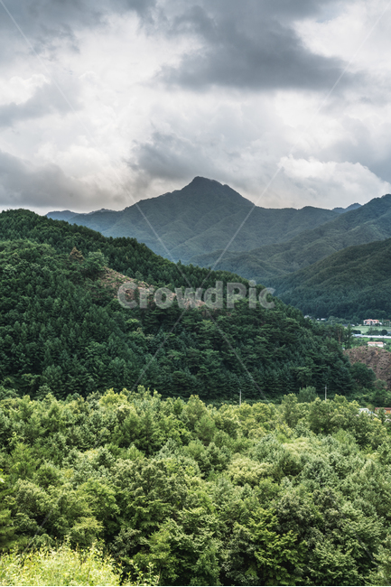 산,숲,나무,자연,설악산