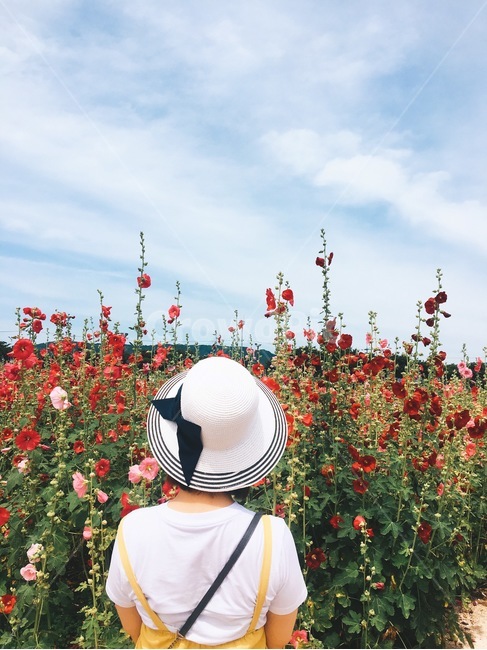 경주,여행,꽃,뒷모습,여름,사람,인물,인간,human,person,여성,여자,woman,female,lady,여행,휴가,traveling,vacation,trip