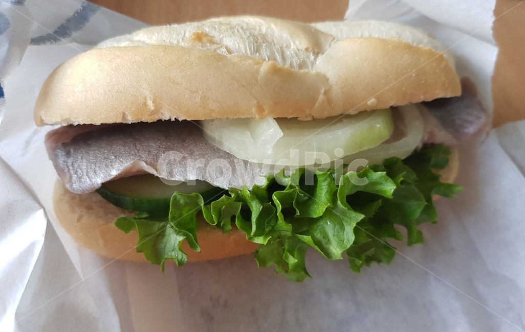청어샌드위치,matjesbaguette,음식,food,독일음식,germany,deutschland,음식,식재료,요리,food,cook,meal,dishes,food reserves