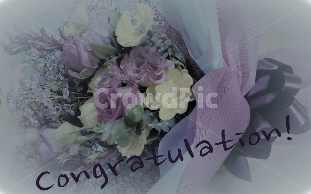 꽃다발,congratulation,꽃,축하,기념일,anniversary,생일축하,파티,행복,celebrate,celebration,감성,sensible,feeling,꽃,flower,기념일,축하,anniversary,congratulation,celebrate,celebration