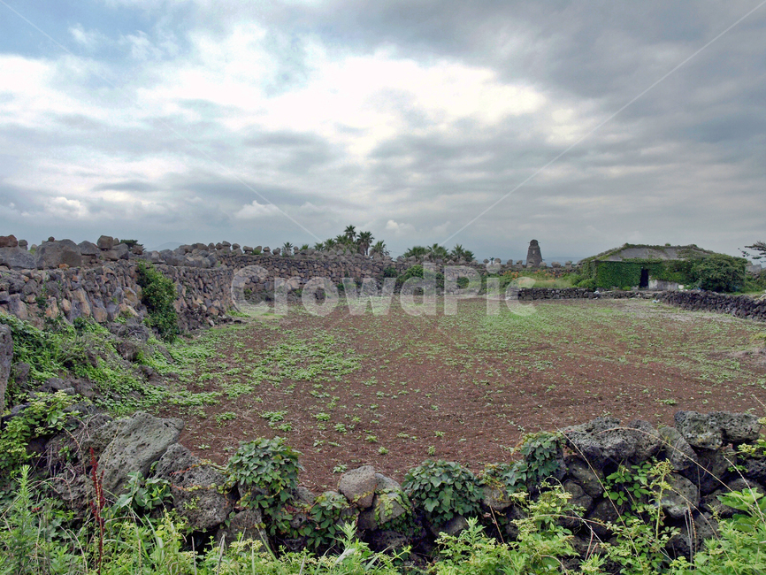 제주,올레19코스,올레길,밭,농작물,돌담,자연,풍경,nature,landscape,제주도,jeju,jeju island,ground,바닥,outdoors,옥외