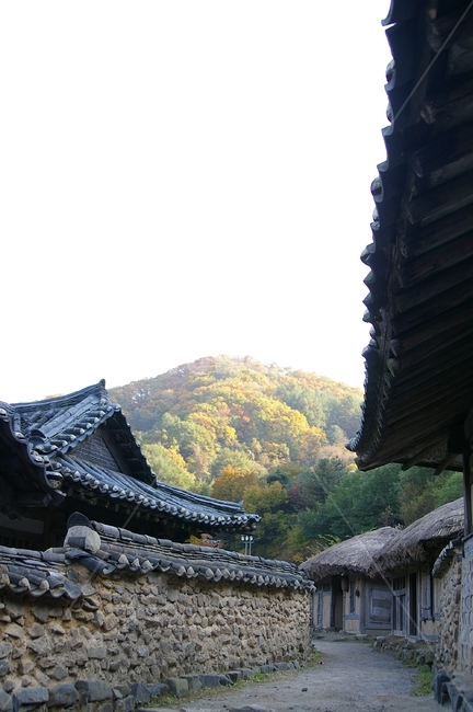 건축물,building,건물,전통,가옥,과거,가을,기와,기와집,담장,시골,초가집,초가,기와지붕,한국전통,한국문화,korean traditional,korean culture,건축물,건물외관,exterior,building,structure,architecture,construction