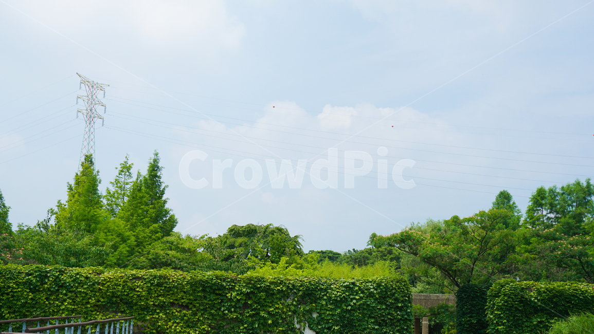 나무,들판,자연,하늘,맑음,trees,tree,field,nature,sky,자연,풍경,nature,landscape,outdoors,옥외