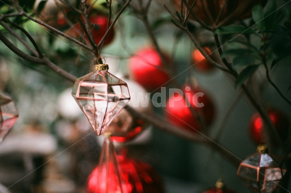 크리스마스트리,크리스마스,소품,장식,interior,christmas,휴일,holiday,decoration,데코,가랜드,트리,트리장식,겨울,겨울장식,겨울,계절,winter,season,메리크리스마스,성탄절,merry christmas,감성,sensible,feeling