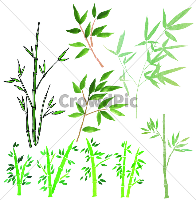 손그림,handdrawing,팬그림,팬라인,pen,penline,penpicture,pendrawing,plant,식물,대나무,bamboo