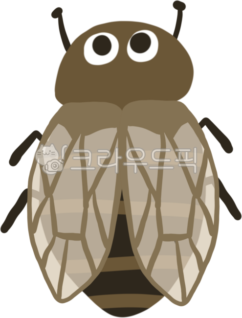 Insects,bugs,grass,insect collection,insect experience learning,cicadas,summer cicadas,summer,cute cicadas,cicada characters