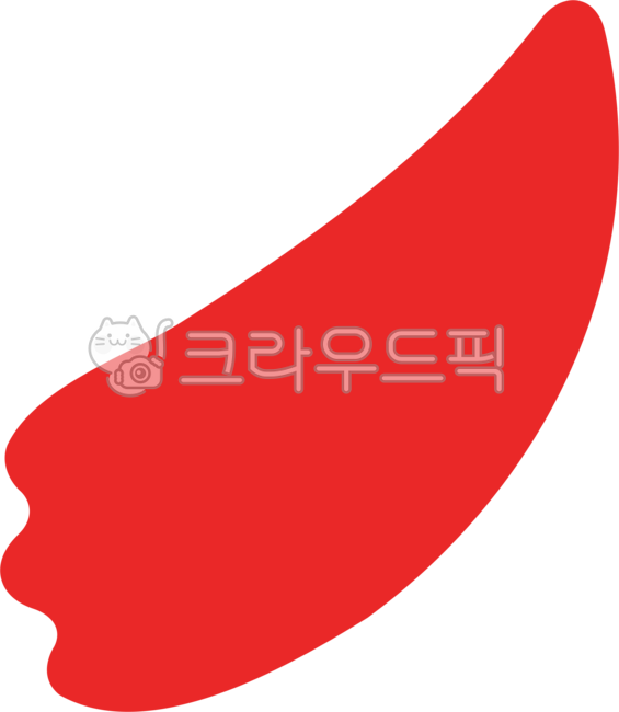 Teachers day,petal,In May,plant,carnation,Mothers Day,flower