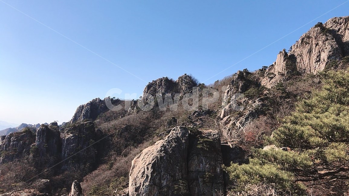 대둔산,절벽,산,등산,자연,나무