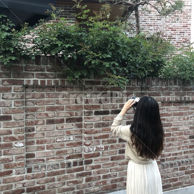 사람,인물,뒷모습,여자,카메라,사람,인물,인간,human,person,여성,여자,woman,female,lady
