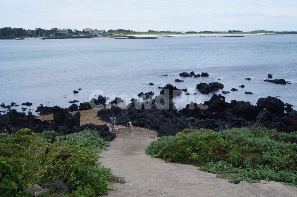 바다,바다로,샛길,좁은길,물가,길,자연,풍경,nature,landscape,한국자연풍경,한국자연경관,korea nature landscape,해변,바다,beach,sea