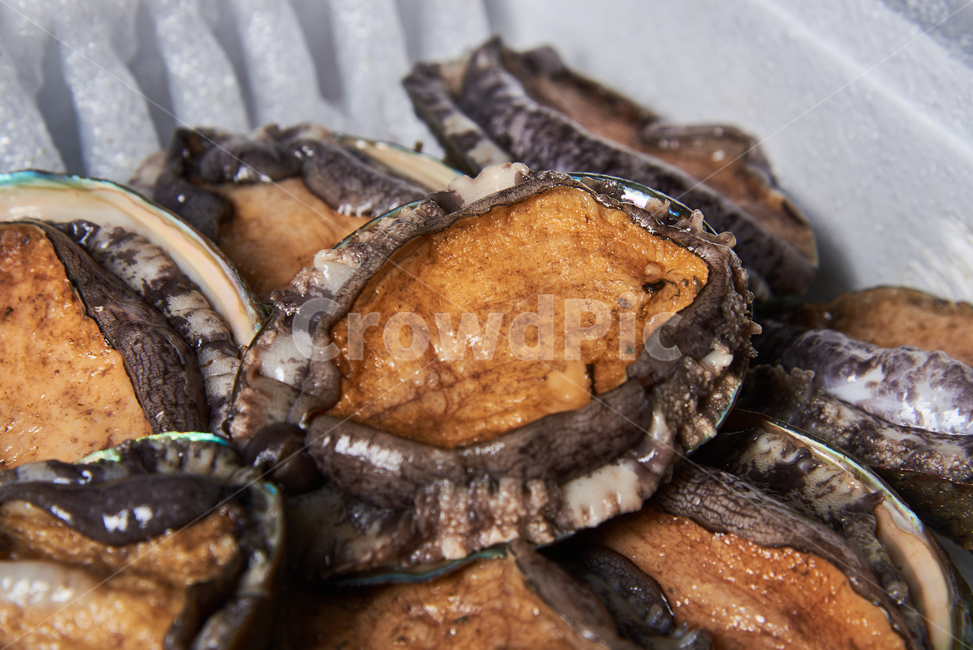 전복,seafood,해산물,clam,갑각류,음식,식재료,요리,food,cook,meal,dishes,food reserves,수산물,해산물,fishery products,seafood
