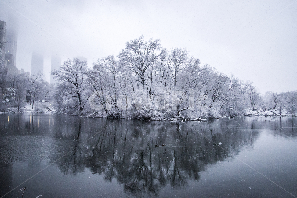nature,자연,outdoors,옥외,ice,빙,뉴욕,눈,겨울,눈보라,미국,호수,숲,reflection,lake,winter,snow,frost,forest,newyork,central,park,겨울,계절,winter,season