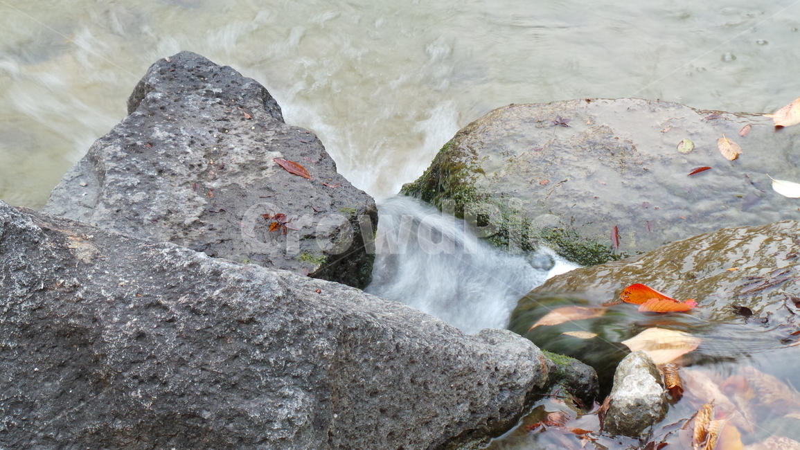 낙엽,시냇가,소용돌이,물가,자연,water,물,청량,나뭇잎,잎,돌,바위,자연배경,가을,계절,fall,autumn,season,nature,outdoors,옥외,river,강