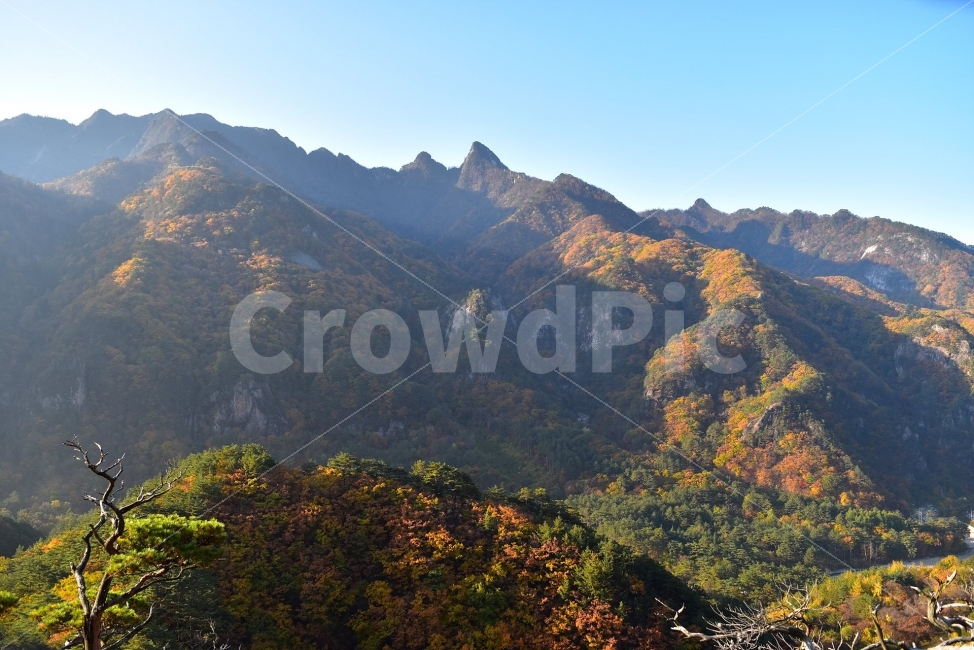 설악산,가을,풍경,단풍,탐방,국립공원,파란하늘,가을색,오색,울긋불긋,알록달록,그림같은,칼라풀,뷰티플,아름다운,힐링,감성,자연,정취,산세,명산,100대명산,nature,산,등산,트레킹,비경,경치,사진,색채,가을의정취,가을,계절,fall,autumn,season,자연,풍경,nature,landscape,한국자연풍경,한국자연경관,korea nature landscape,mountain,outdoors,옥외,mountain range,산맥
