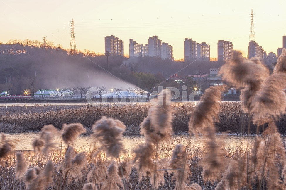 호수,갈대,갈대꽃,겨울,눈만들기,제설기,제설,건물,나무,풍경,겨울,계절,winter,season,자연,풍경,nature,landscape,grass,잔디,plant,식물,lawn,reed