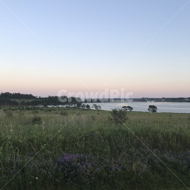 자연,강가,들판,초원,하늘,river,riverside,sky,reed,갈대,grassland,nature