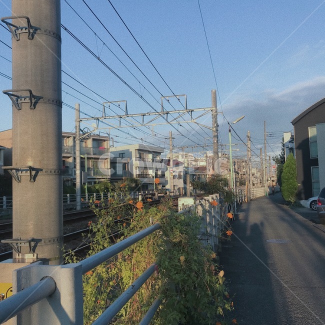 산책,기찻길,꽃,풍경,하늘,전철길,선로,flower,분위기,mood,sky,골목길,alley,asphalt,아스팔트