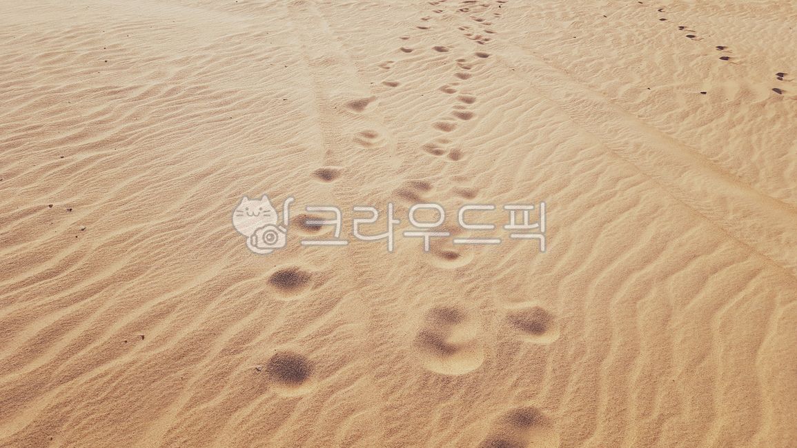 dog footprints,nature,grit,pattern,brown,dried,beige,outdoor,sand,footprint,outdoors,ocher color,stripe,puppyfootprint,desert,redbrown