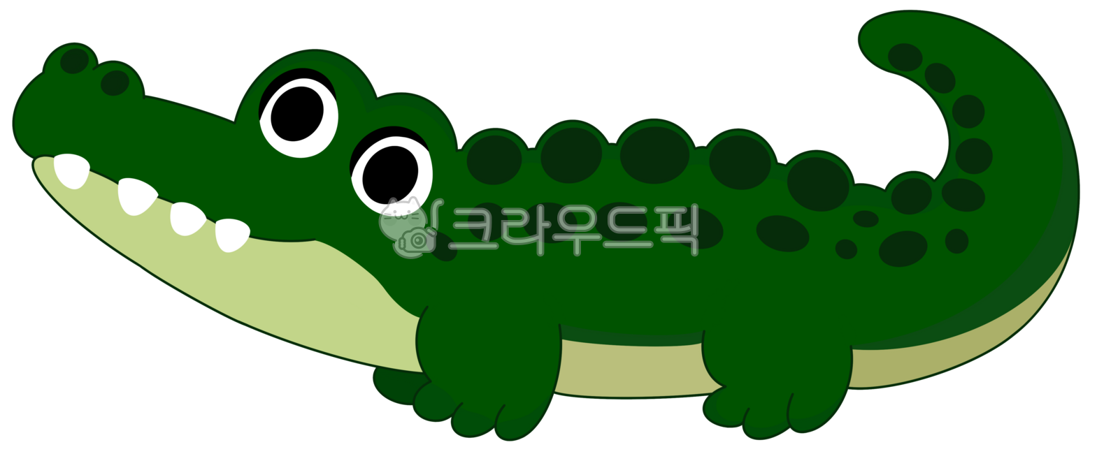 악어,파충류,아기악어,초록악어,아기파충류,아기초록악어,동물,아기동물