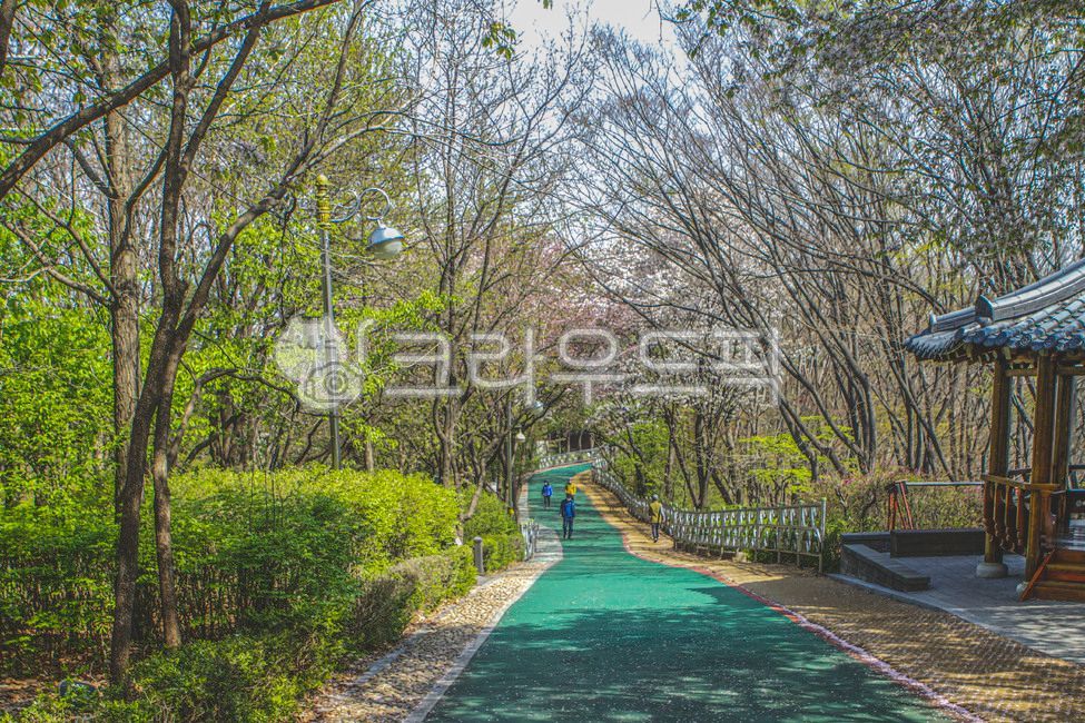 서울,산,개운산,공원,개운산공원,산책,산책로,도로,난간,가로등,지붕,인간,옥외,자연,나무,식물,꽃,road,railing,streetlamp,roof,human,outdoors,nature,tree,plant,flower