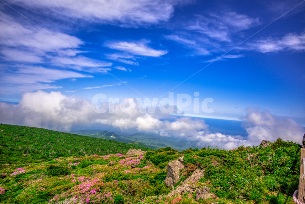 제주도,한라산,nature,자연,outdoors,옥외,hill,언덕,countryside,구름,나무,숲