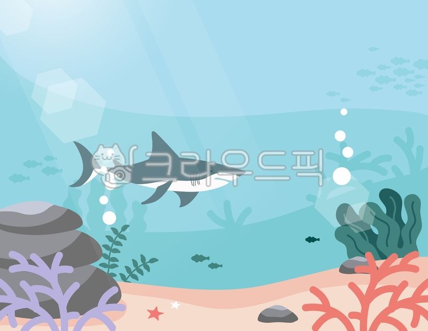 shark,Background,deep sea,seaweed,water,summer,sea,stone,water drop,light,coral,undersea,beach,fish,season,illustration,river,starfish,water surface
