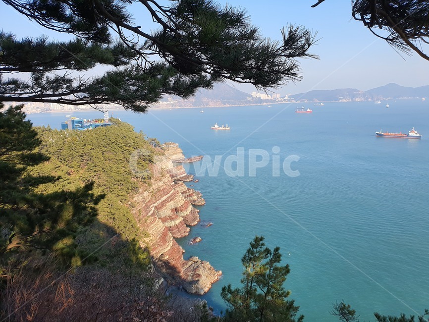 plant,식물,tree,나무,promontory,곶,outdoors,nature,자연,바다,ocean,절벽