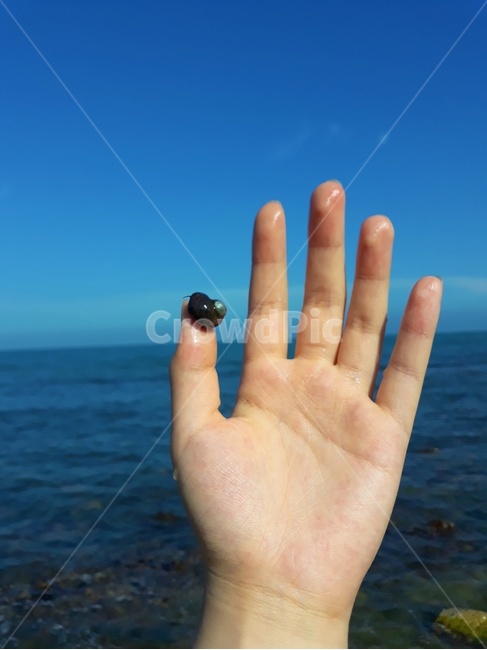 바다고동,손,바다,하늘,손가락