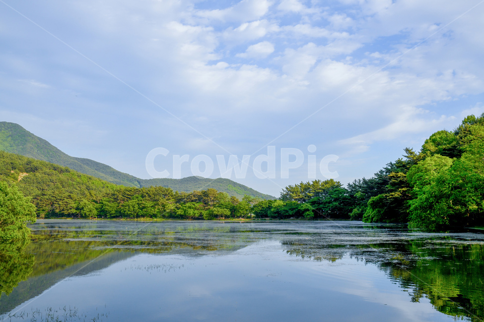 밀양,위양지,풍경,역광,반영,landscape,자연,풍경,nature,landscape,한국자연풍경,한국자연경관,korea nature landscape,water,물,outdoors,옥외