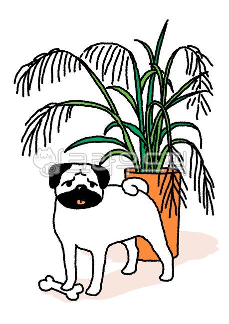 pug,hand drawing,Pug illustration,dogillustration,Cute puppy,pugillustration,animal illustration,puppy,painting,puppy illustration,cutedog,drawing,animal,illustration,dog,pet dog