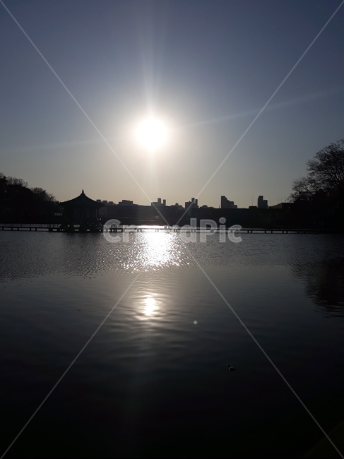 호수,연못,lake,pond,풍경,water,물