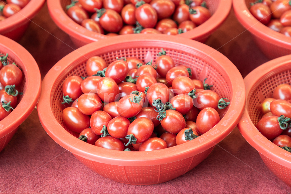 토마토,방울토마토,야채,채소,시장,바구니,건강,유기농,재배,빨강,fruit,gourmet,detox,cherrytomatoes,tasteful,basket,tomatoes,raw,shiny,juicy,agriculture,refreshment,vegetarian,flavor,vitamin,vibrant,nutrient,mini,ingredient,organic,diet,ripe,eat,vegetable,tomato,cherry,nutrition,closeup,group,red,freshness,small,background,bright,color,delicious,food,fresh,green,healthy,korean,marketplace,natural,nature,outdoor,plant,tasty,농산물,건강식,식단,음식,식재료,요리,food,cook,meal,dishes,food reserves,채소,야채,vegetables